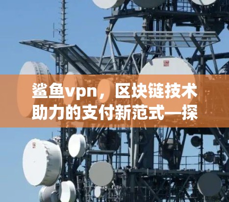 鲨鱼vpn，区块链技术助力的支付新范式—探索虚拟支付的未来