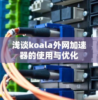 浅谈koala外网加速器的使用与优化 浅谈koala外网加速器的使用与优化